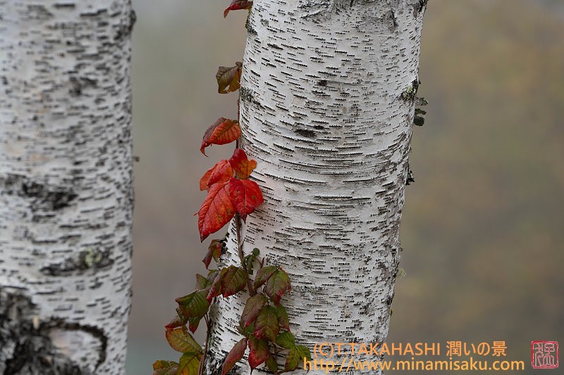 ../Images/7R251019 (194).jpg